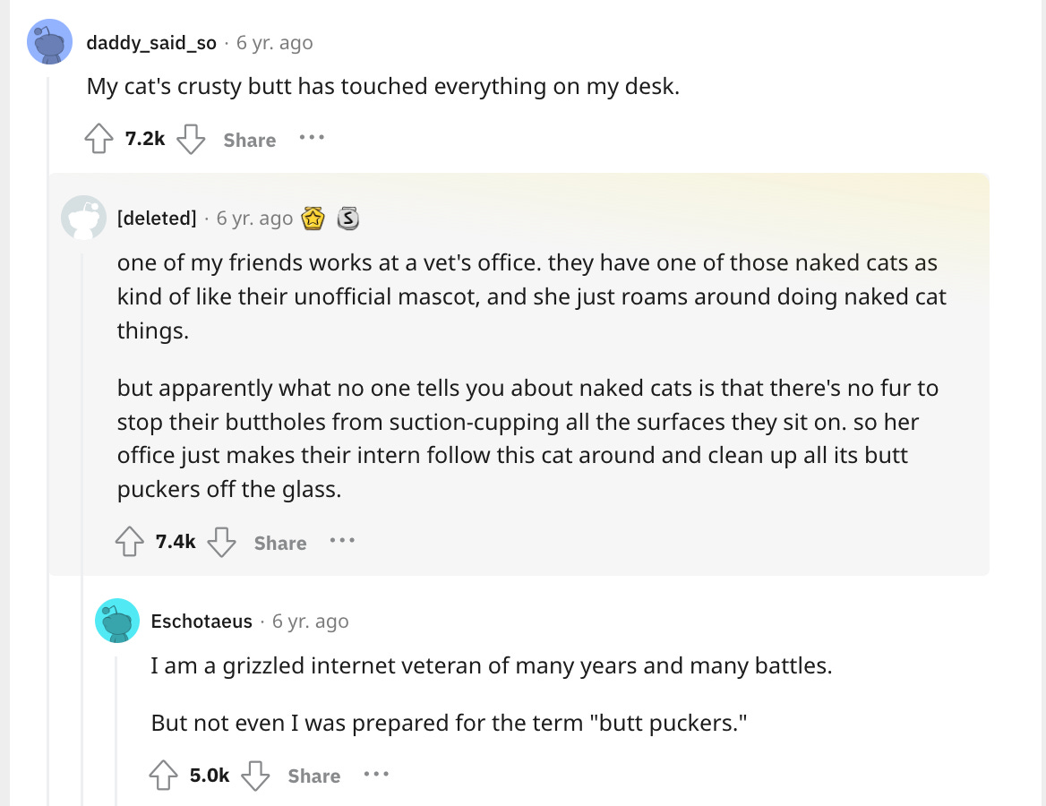 Reddit post about cat butts touching desktops and someone claiming that hairless cats "suction cup" their bholes on flat surfaces