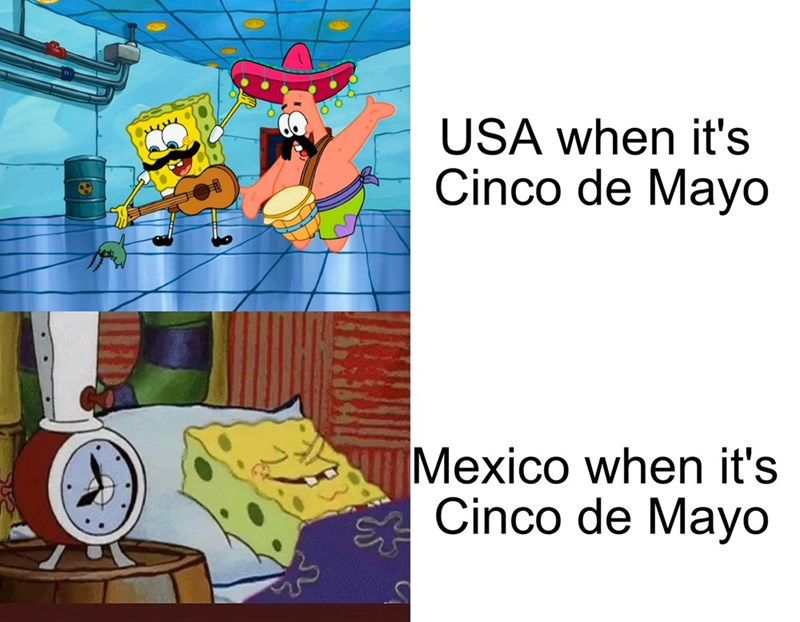 Vertebrate - Quere AD GED USA when it's Cinco de Mayo Mexico when it's Cinco de Mayo