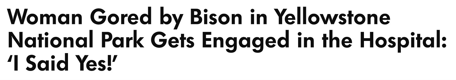 Headline that reads "Woman Gored by Bison in Yellowstone National Park Gets Engaged in the Hospital: ‘I Said Yes!'"
