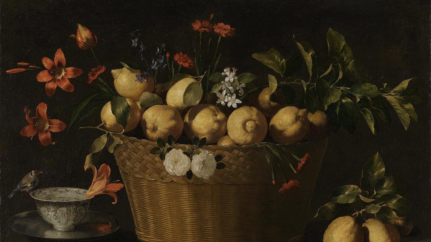Juan de Zurbarán | Still Life with Lemons in a Wicker Basket | NG6669 |  National Gallery, London