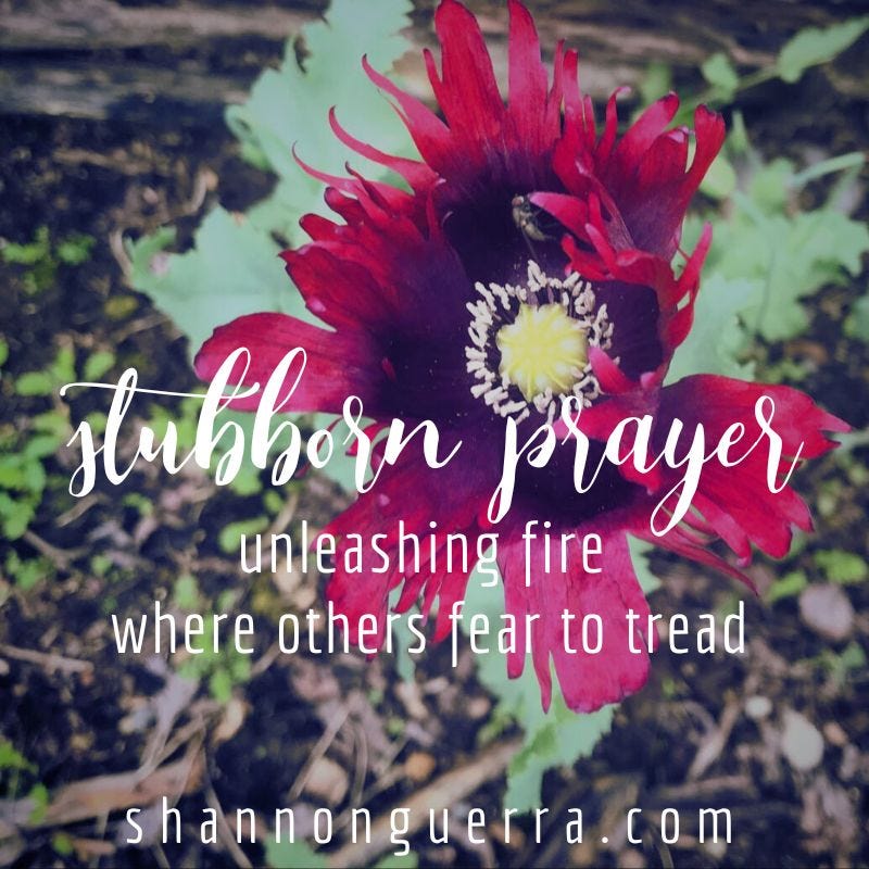 stubborn prayer: unleashing fire where others fear to tread | Shannon Guerra (excerpt from Oh My Soul: Encountering God in Honest, Unconventional (and Sometimes Messy) Prayer