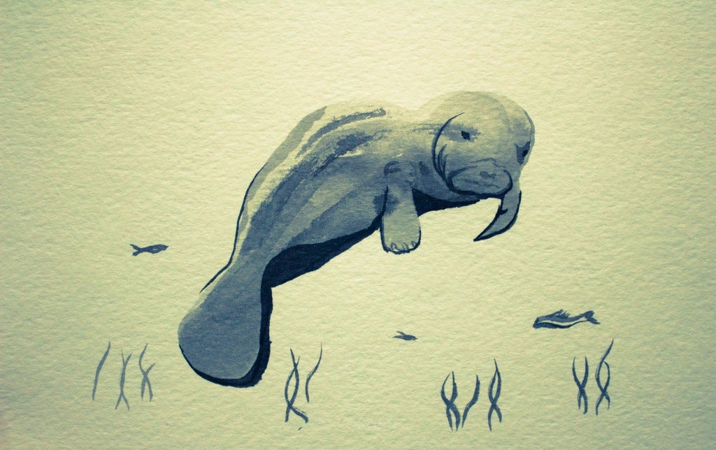 Manatee sumi style