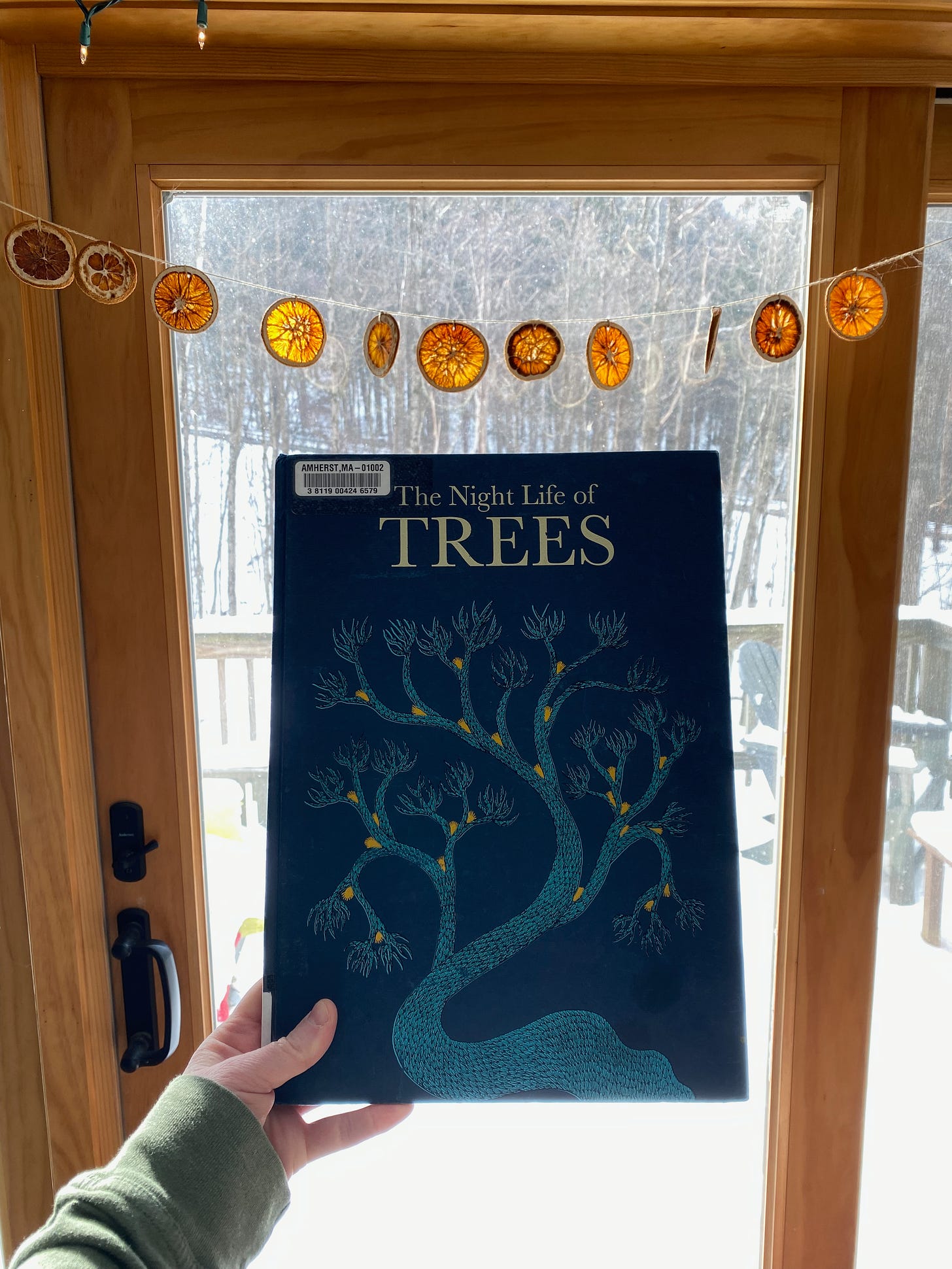 I’m holding up the book in front of sunny window under a garland of dried oranges.