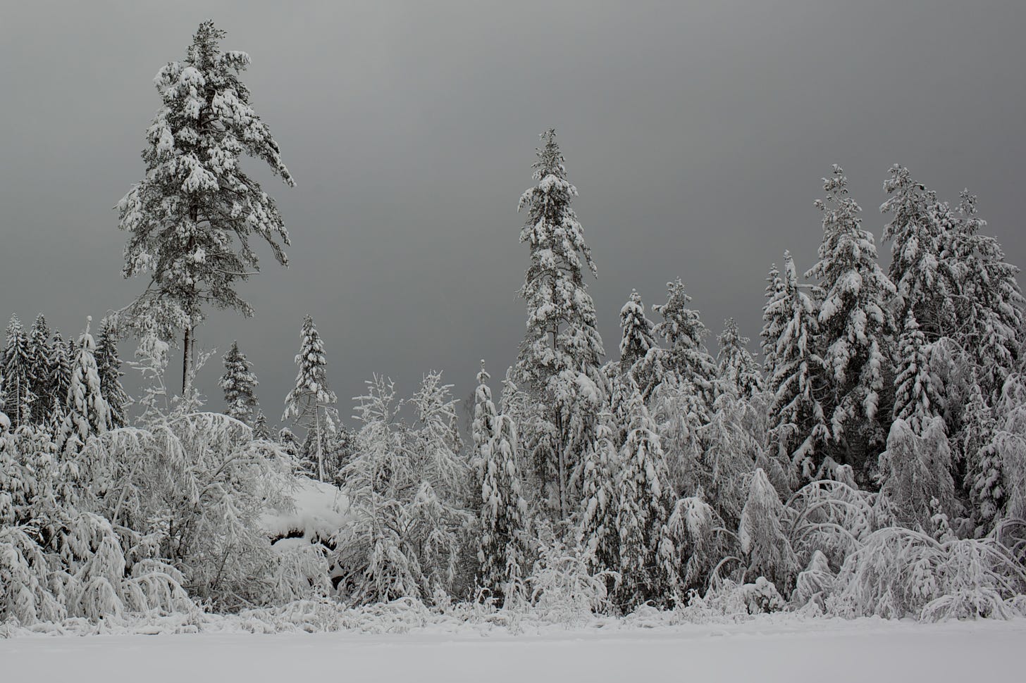 Winter - Wikipedia