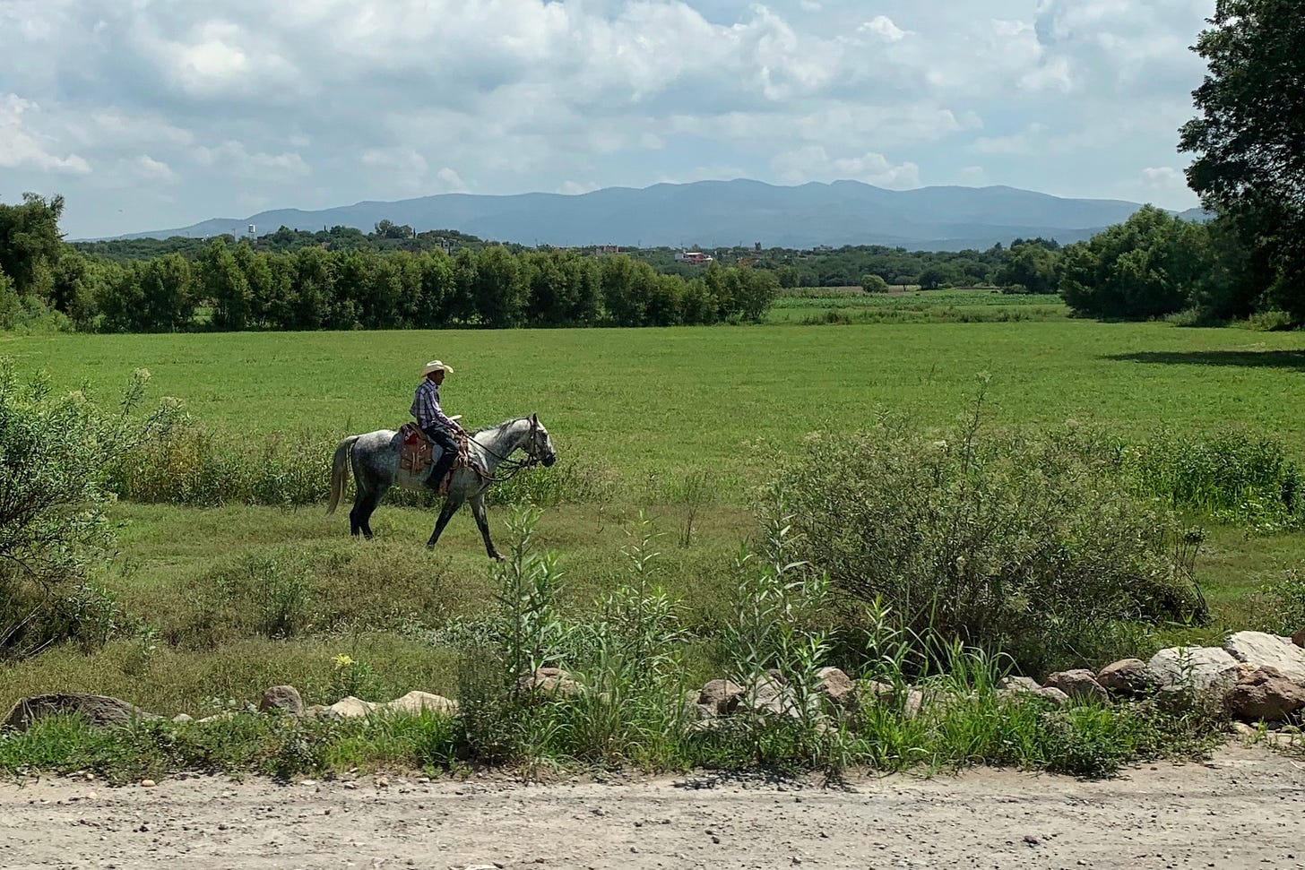 A lone rider on horseback crossing an open field with the dirt road in the forefront and mountains in the background against a blue sky with puffy white clouds