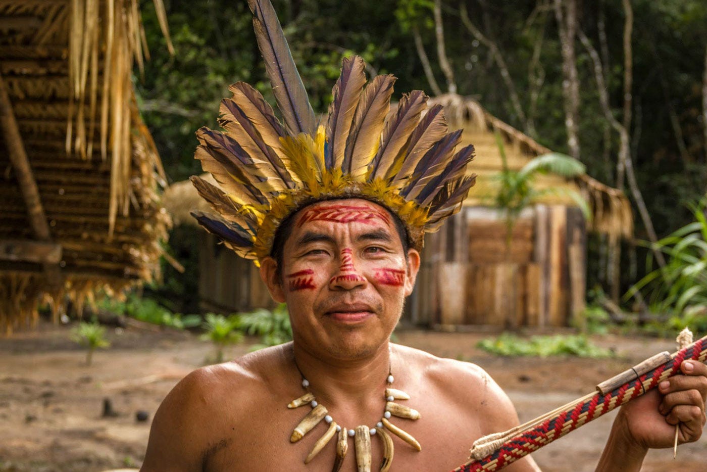 Brazilian Amazon Rainforest - Indigenous Tribes :: Behance