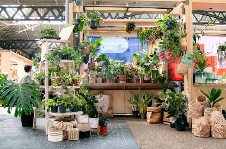 A stall at a market covered in pot plants