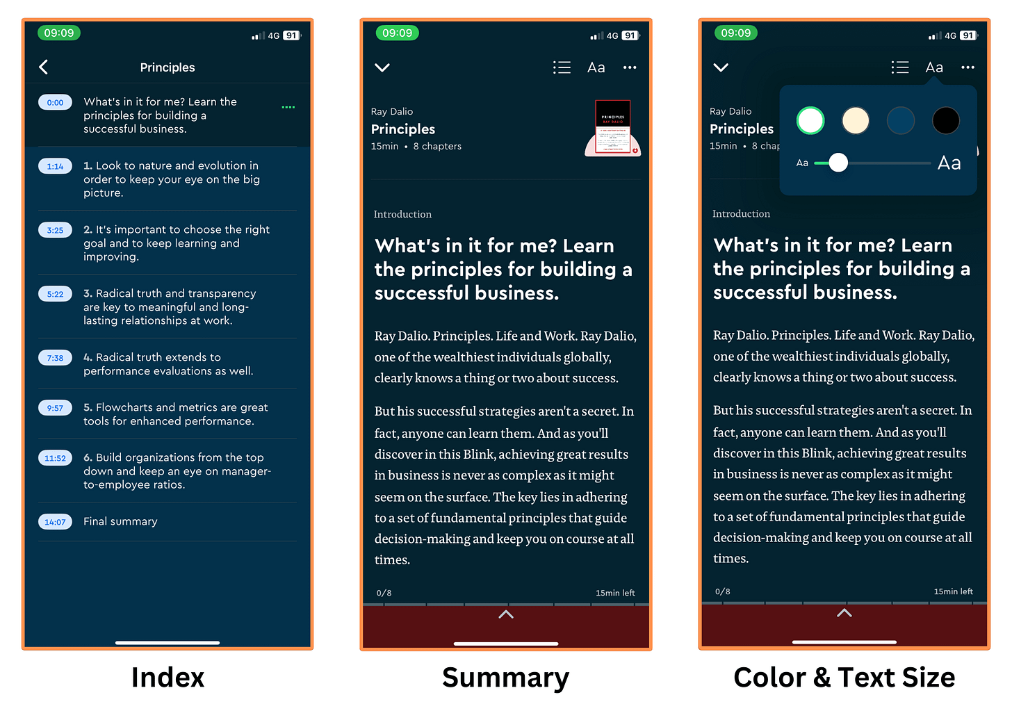 Blinkist - Index, Summary, and Color & Text Size