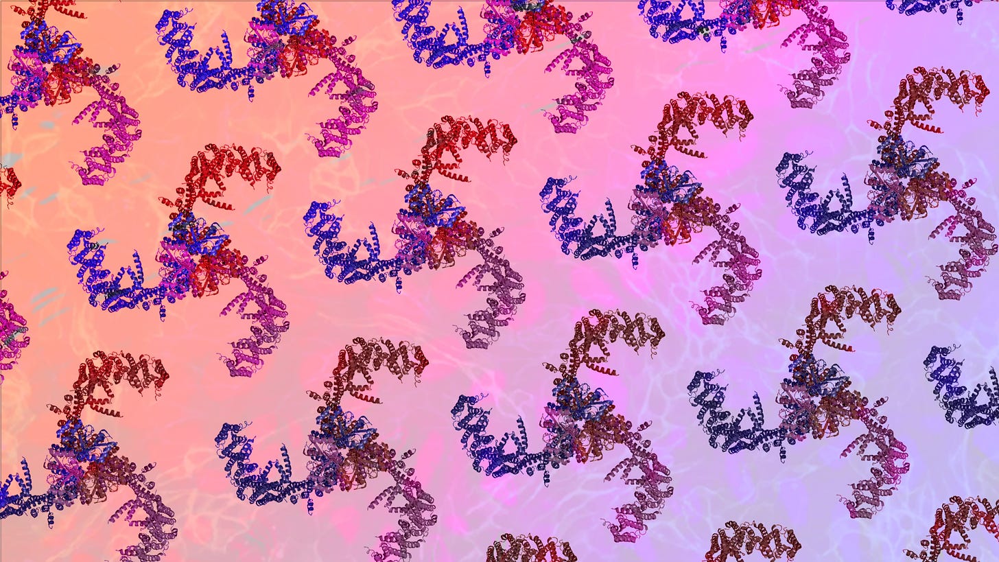 Pattern repeat of Piezo1 homotrimer 3D protein where the three arms of the protein are illustrated in red, magenta, and indigo.
