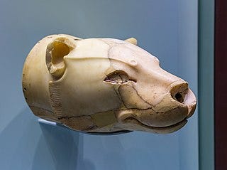 Alabaster lioness rhyton from Knossos