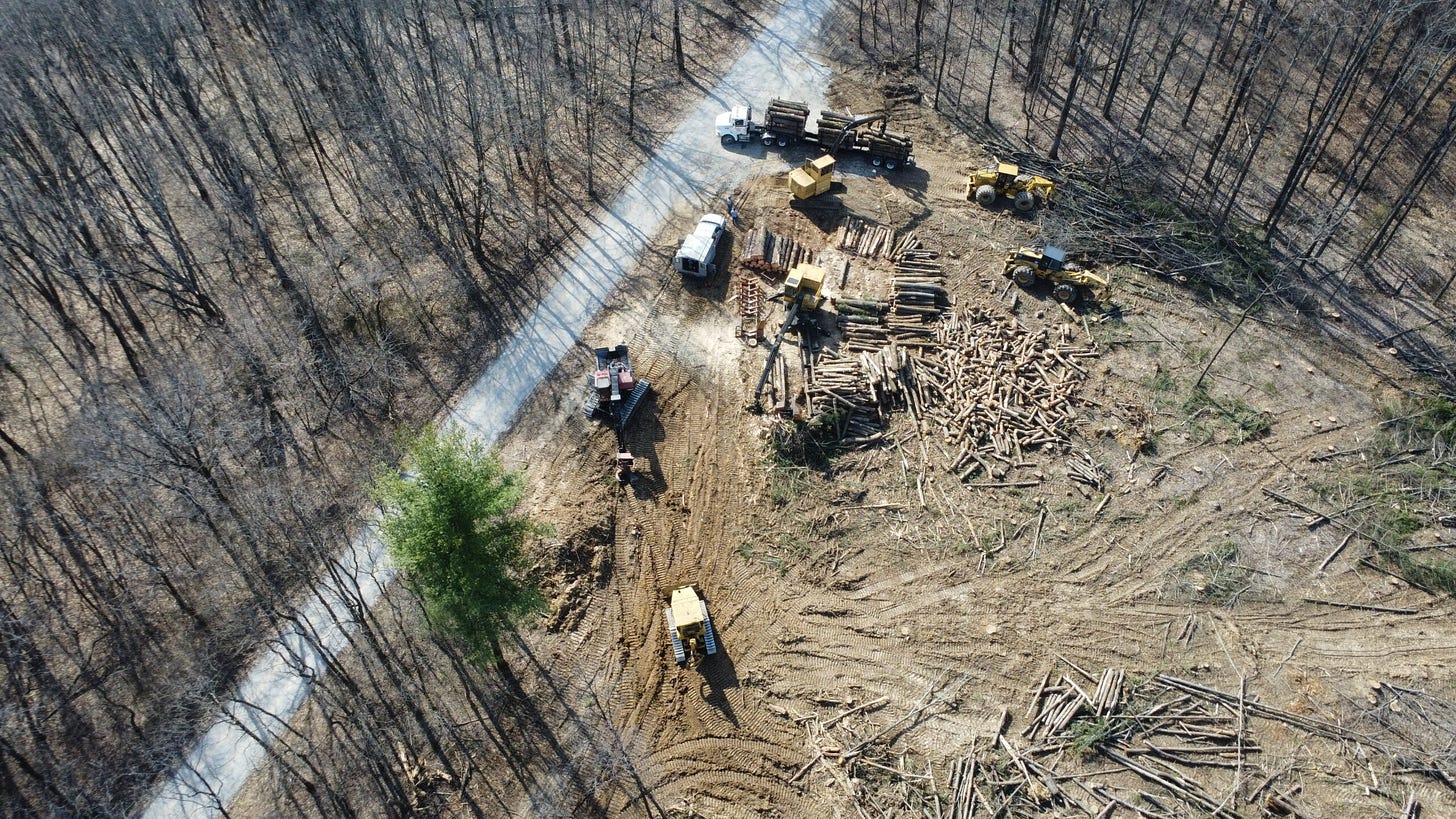 This clear-cutting in March in Hoosier National Forest, captured by drone, is taking place in Crawford County in southern Indiana, just south of an even larger project the Forest Service is planning in an area it calls Buffalo Springs. Photo courtesy of Robbie Heinrich