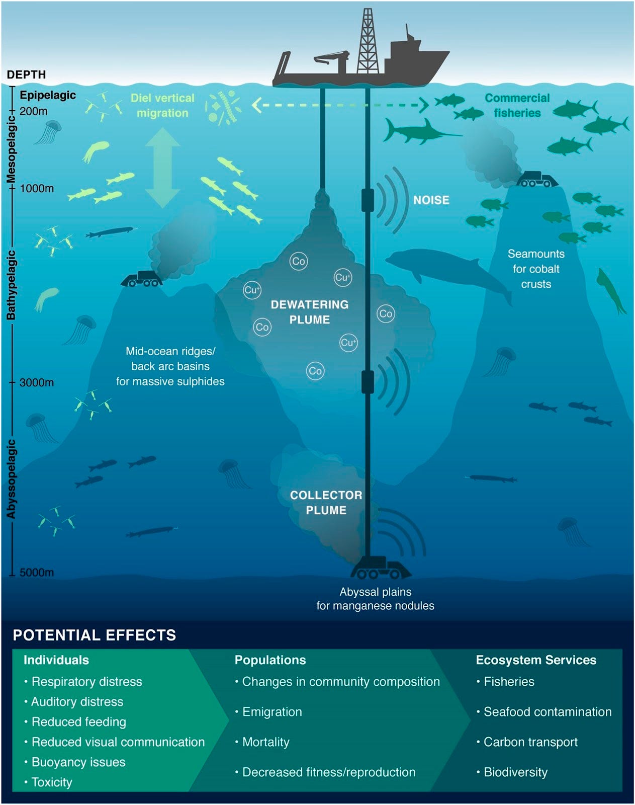 Graphic showing the various environmental impacts of deep sea mining on the ocean floor