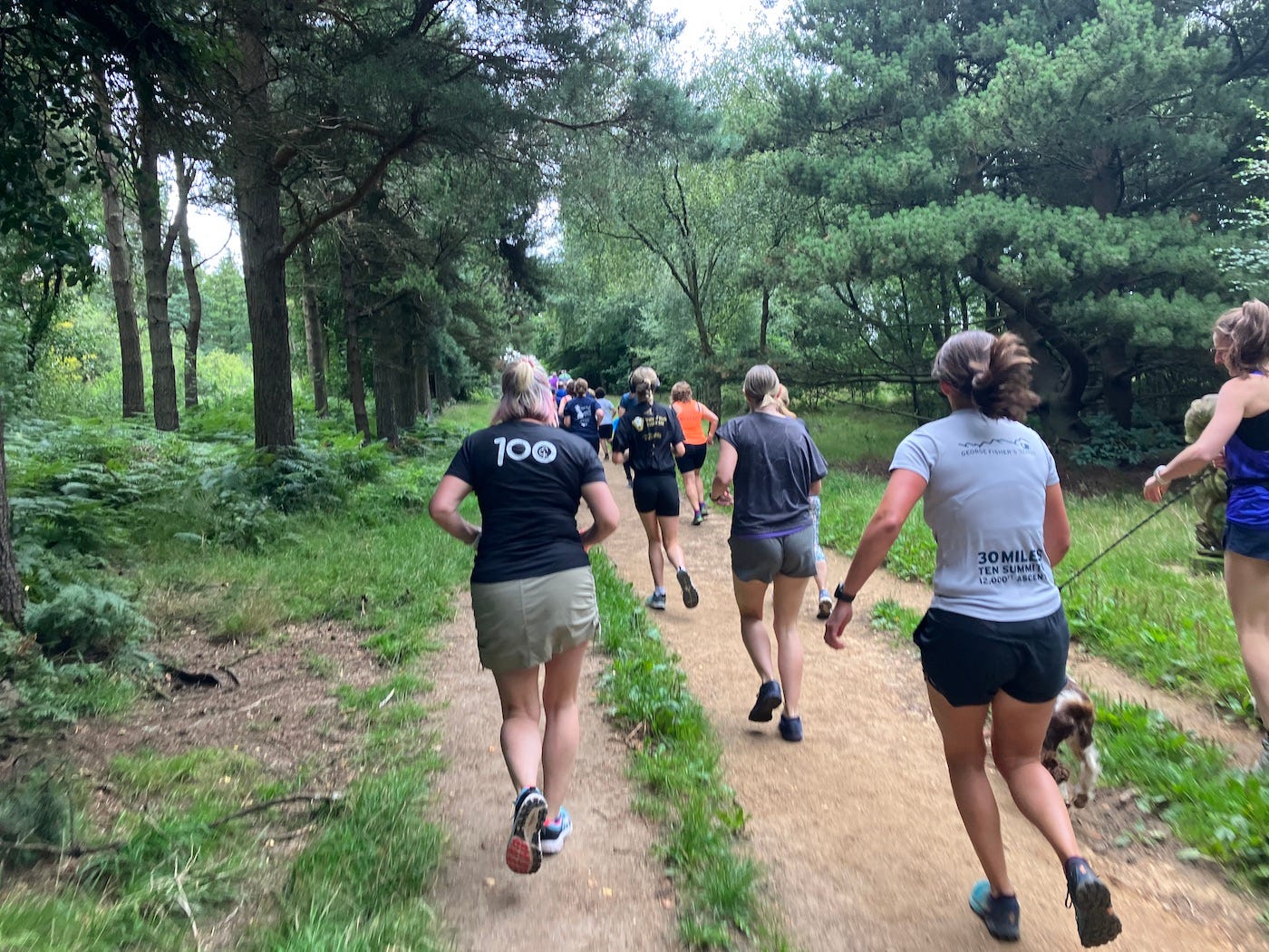 Runners on a wide path through trees.