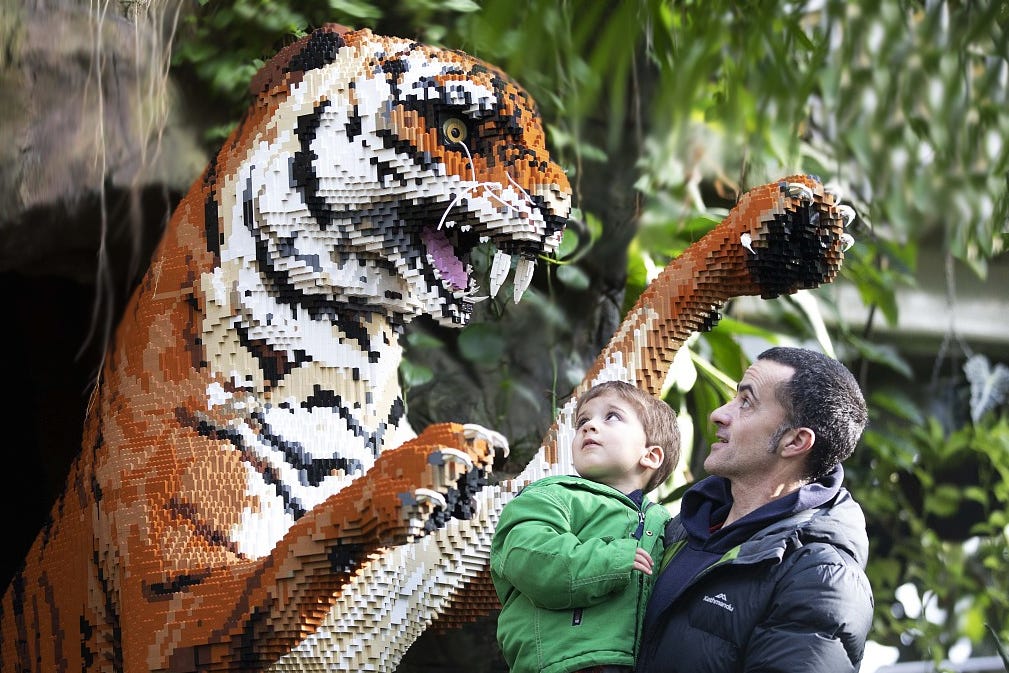 Man and boy looking at large tiger made from lego bricks