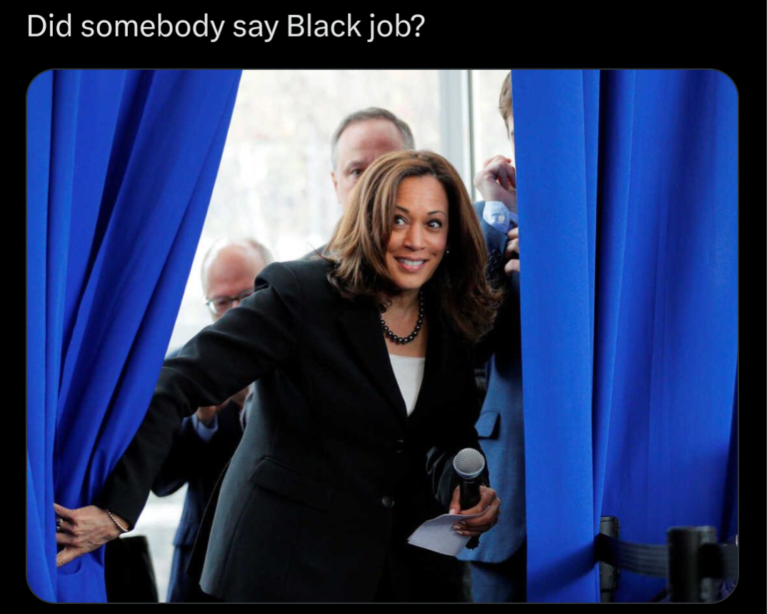 VP Harris peeking out from behind a curtain with a smile captioned "Did somebody say Black job?"