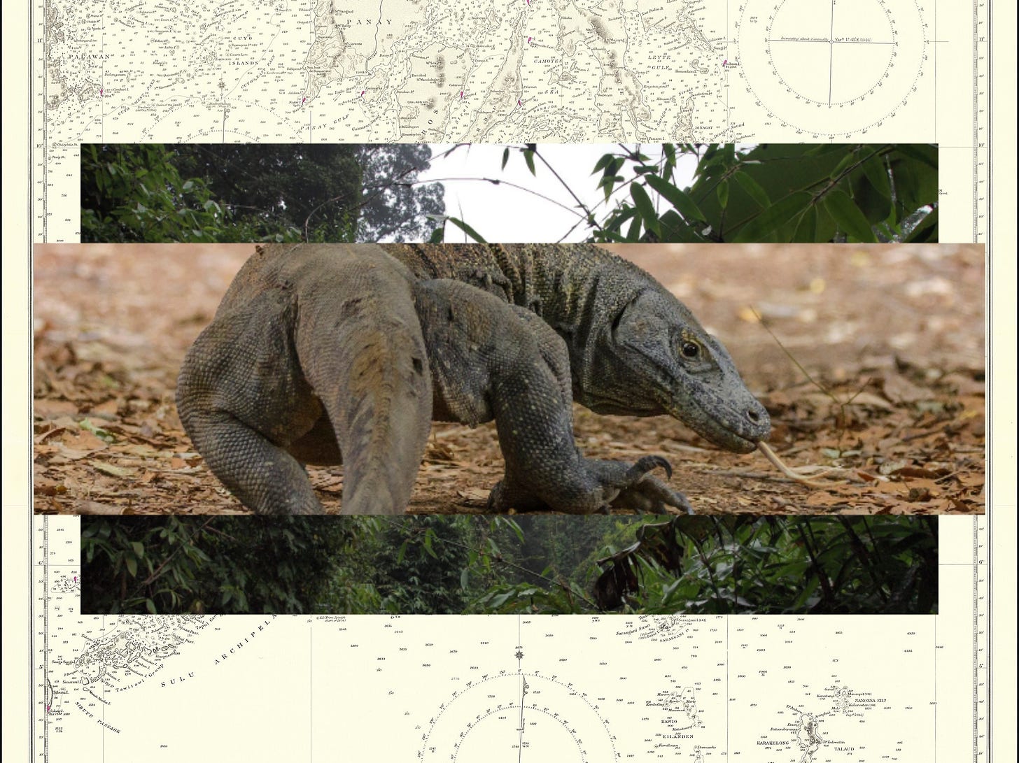 Collage of a creative commons komodo dragon pasted over a jungle scene pasted over a map of the South Asia Sea