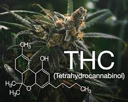 THC: Psychoactive effects and ...