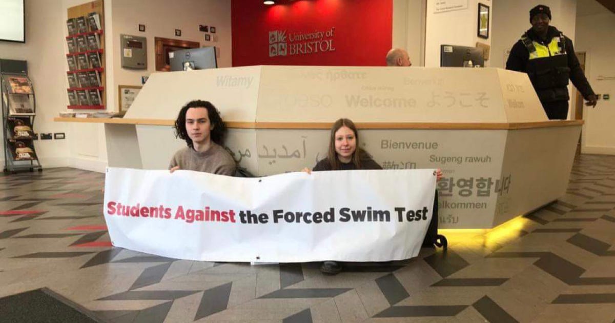 Bristol University turns down £24,000 donation to end forced swim animal research