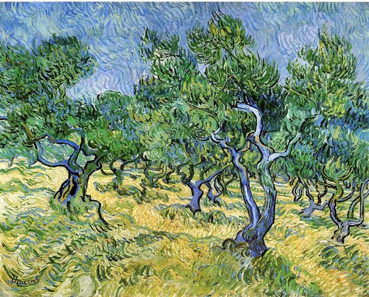 Olive Grove, 1889 - Vincent van Gogh