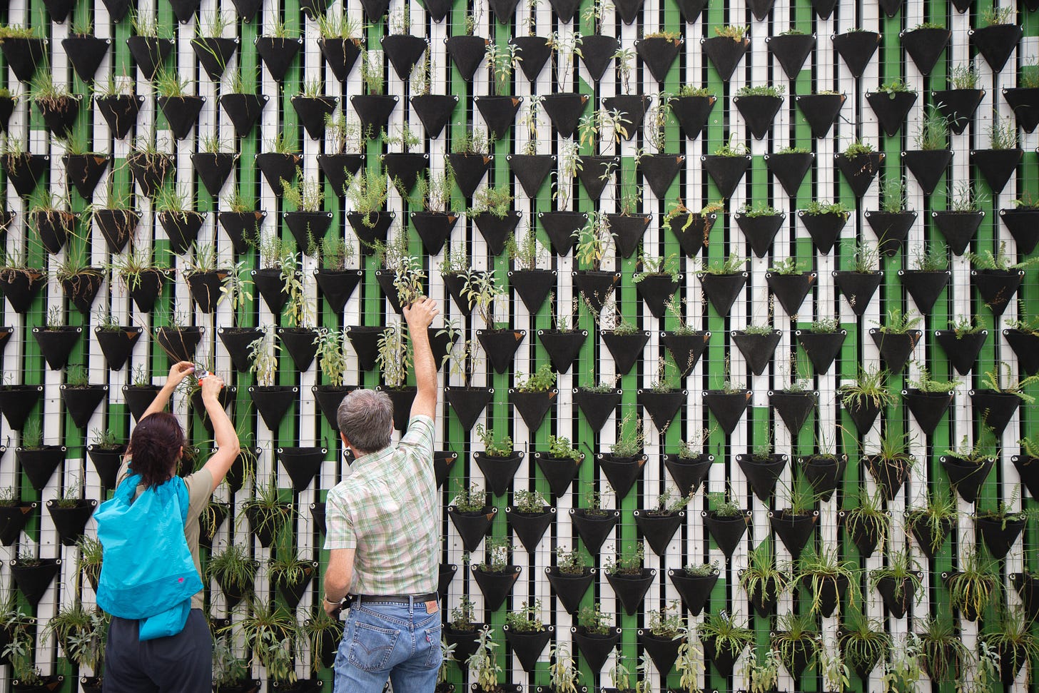 person planting on hanged pots photo 