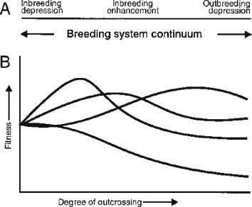 Outbreeding Depression - an overview | ScienceDirect Topics