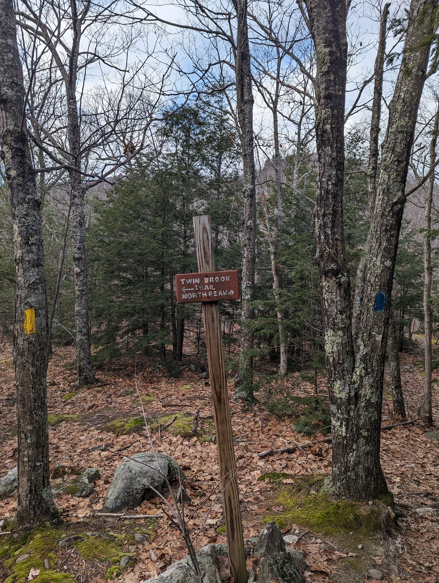 A photo of a trail sign. The sign points left for Twin Brook Trail and right for North Peak.