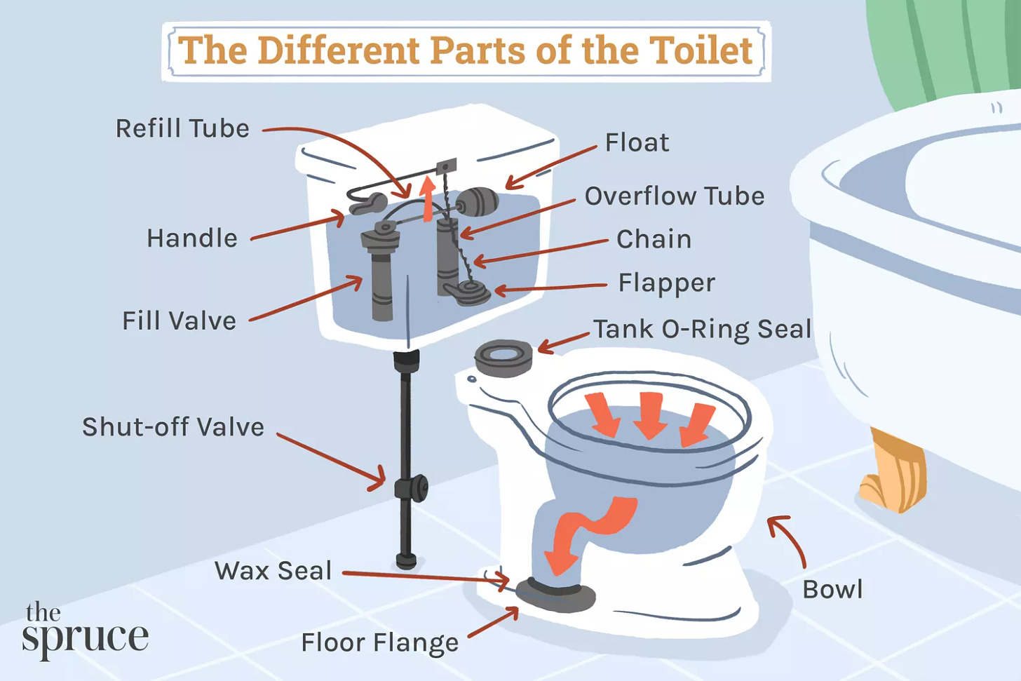 The Different Parts of a Toilet