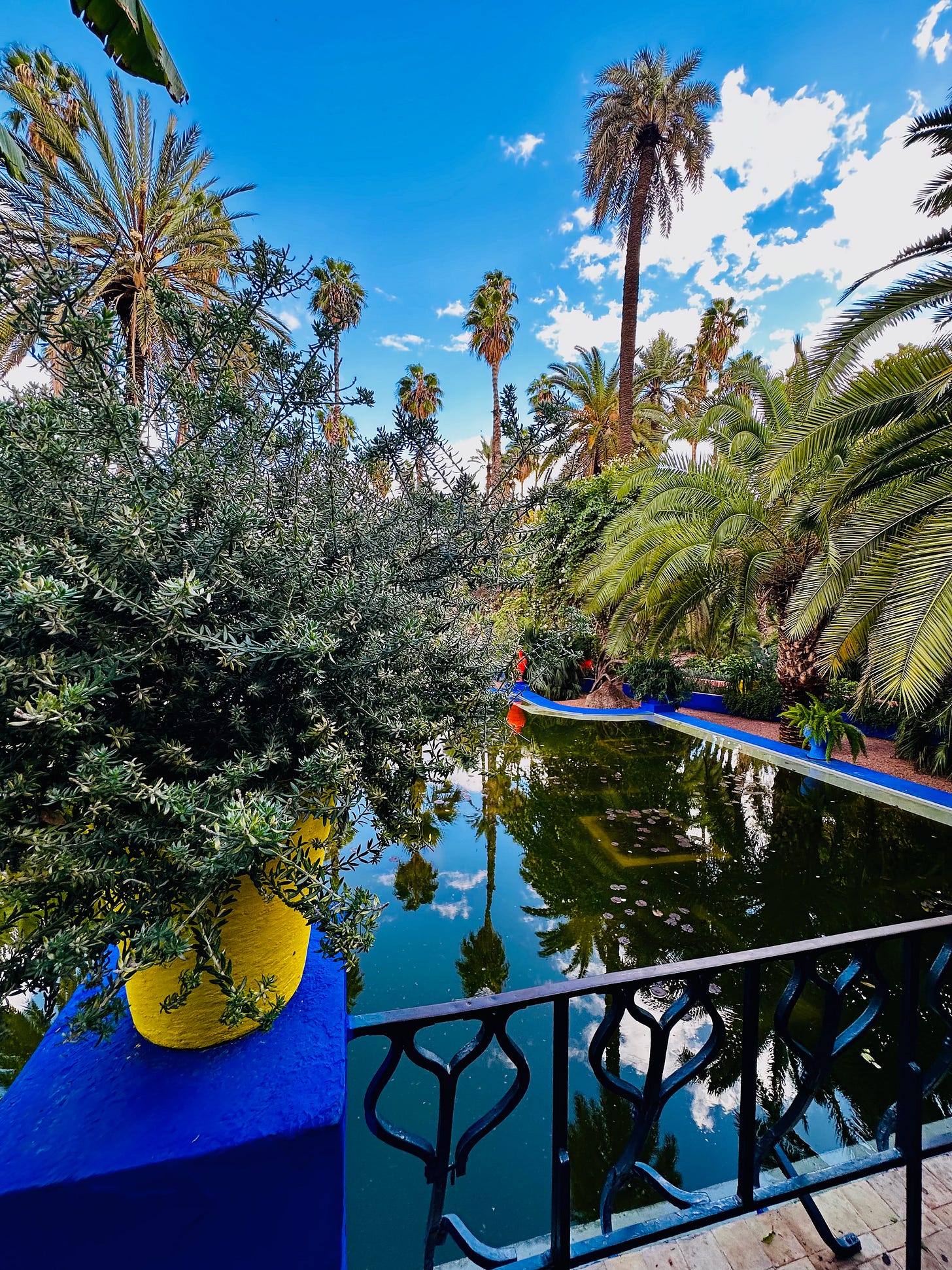 Jardin Majorelle, Marrakesh, Morocco 