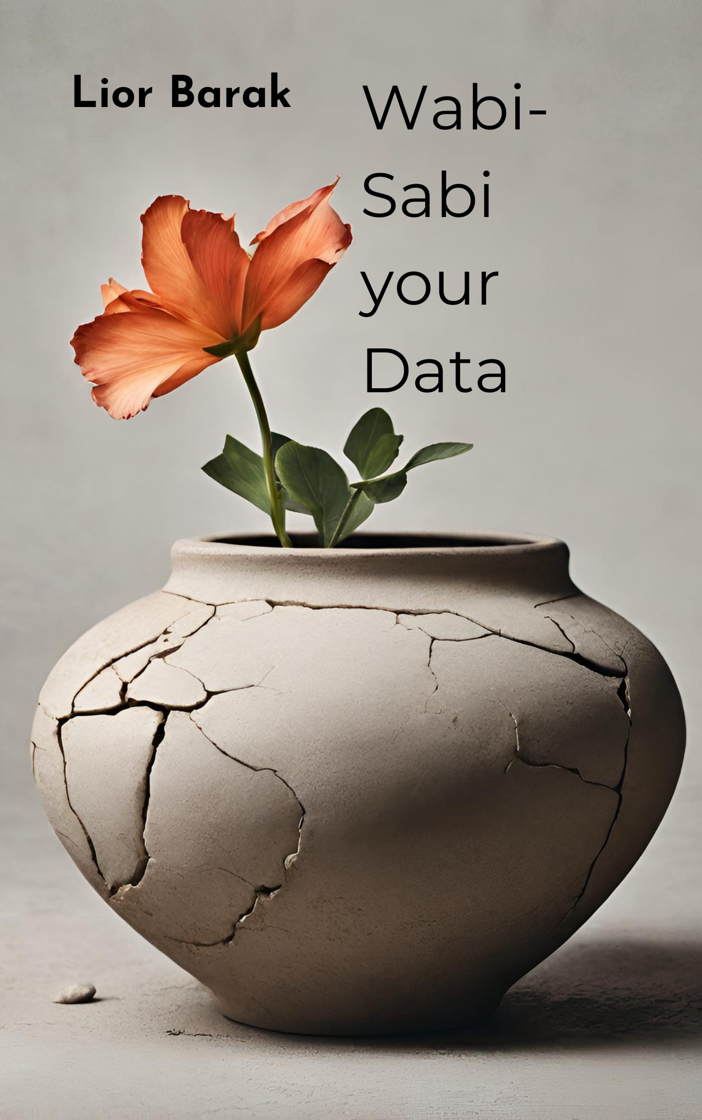 Wabi-Sabi your Data