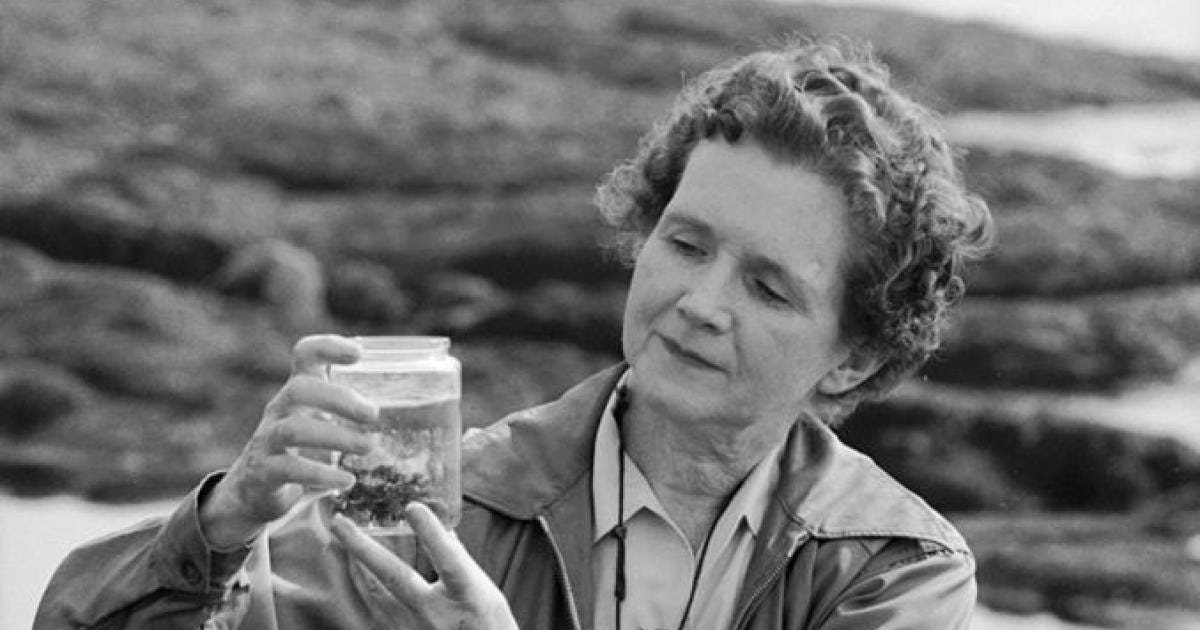 The Story of Silent Spring