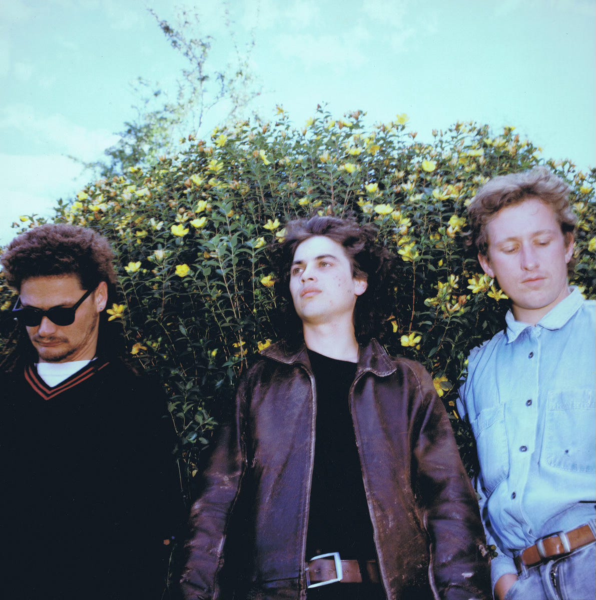 cool-toned film photo of three mid-20s-ish dudes (the band Stephen) in front of a tall, yellow-flowered bush