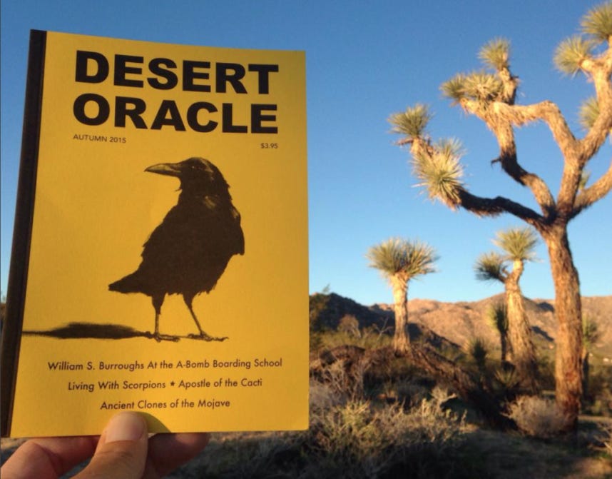 An image of the magazine Desert Oracle, held up next to desert trees.