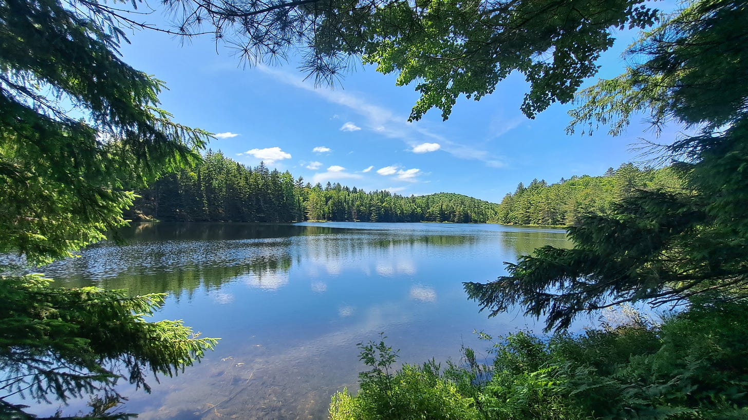Mountain Pond in the St. Regis Canoe Area - Justin Levine/Adirondack Council