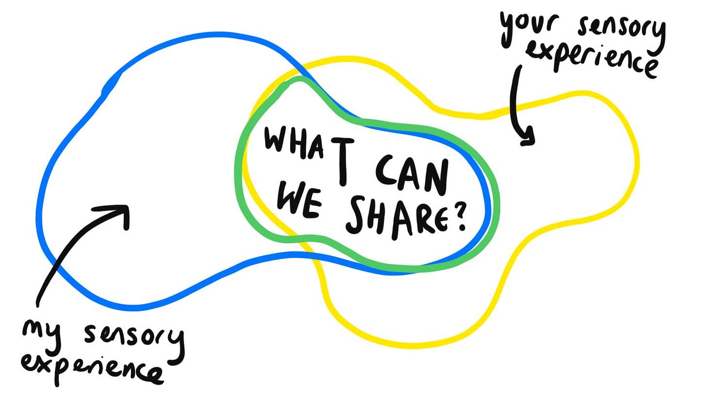 A hand-drawn wiggly venn diagram shows two shapes labelled as 'my sensory experience' and 'your sensory experience'. Where they meet the shape is labelled 'what can we share?'