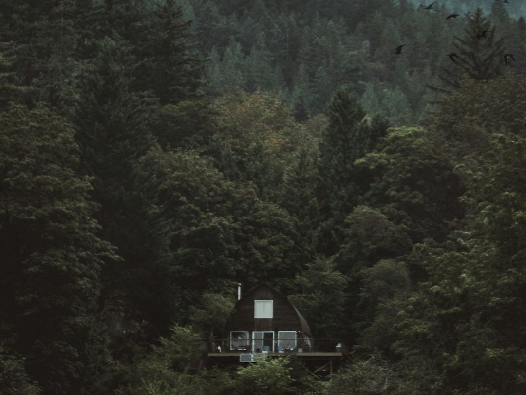 black house surrounded with trees black house surrounded with trees