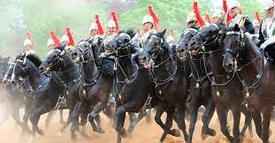Horses - Household Cavalry