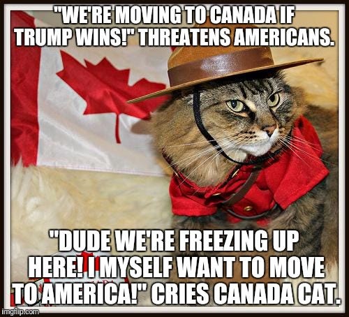 Canada Cat - Imgflip