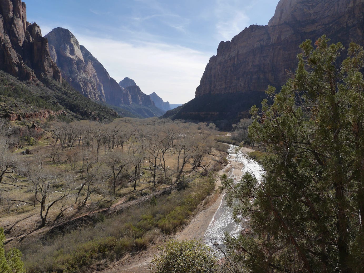 Photo by Author — The Grotto and Emerald Pools Trail, Zion National Park, Utah