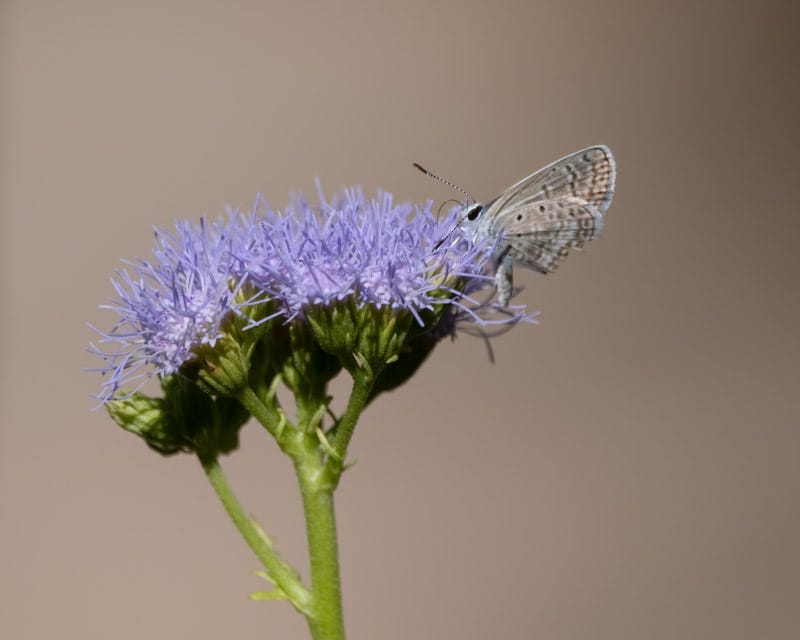 20240925-MBY-135-Edit.jpg