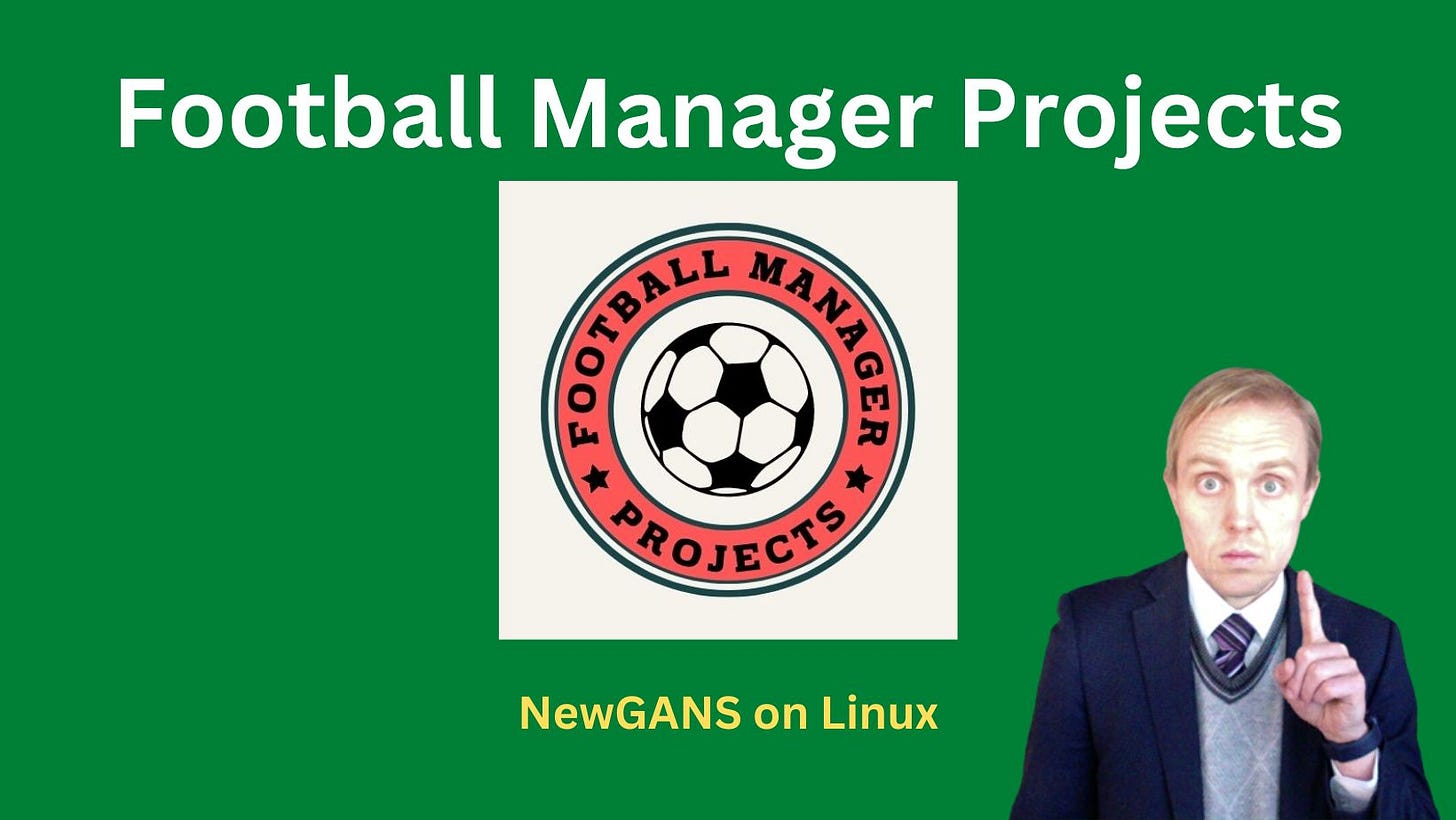 Football Manager 2023 NewGANS Linux