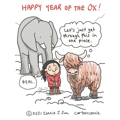 Year of the ox cartoon, illustration, chinese new year, happy lunar new year, sketchbook, drawing by Connie Sun, cartoonconnie