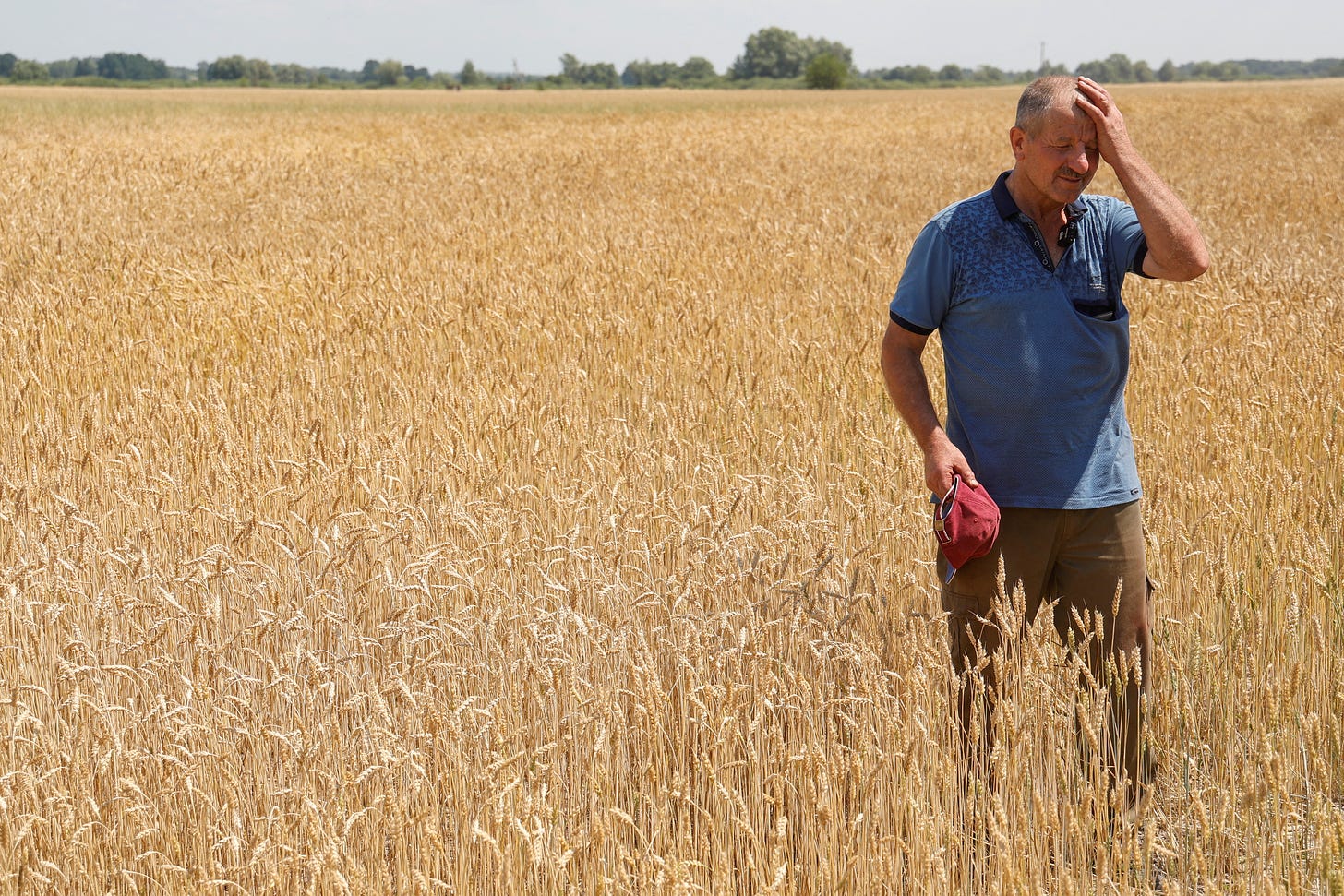 Ukraine grain storage crisis hits home as farmers harvest new crops |  Reuters