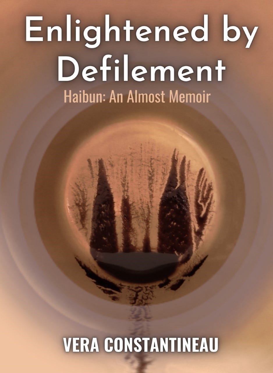 Cover art Enlightened by Defilement