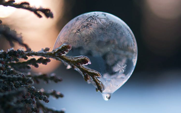 Freezing droplet on an evergreen tree branch - Aaron Burden - Unsplashed