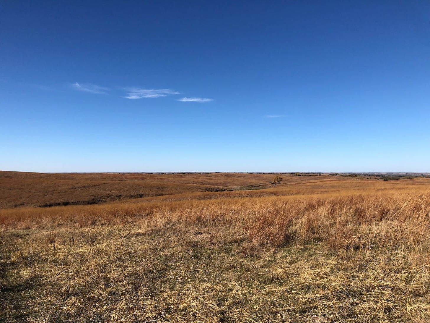 tallgrass prairie in late fall