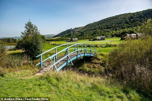 Although he claims he and Bute have not discussed figures, it is understood that the energy company is offering around £27,000 a year for each turbine it installs - on a 40-year deal (pictured is the Welsh countryside where the wind farm could be developed)