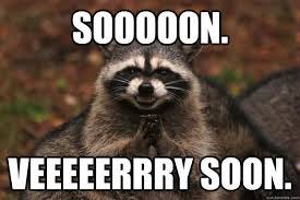 Sooooon. Veeeeerrry Soon. - Evil Plotting Raccoon - quickmeme