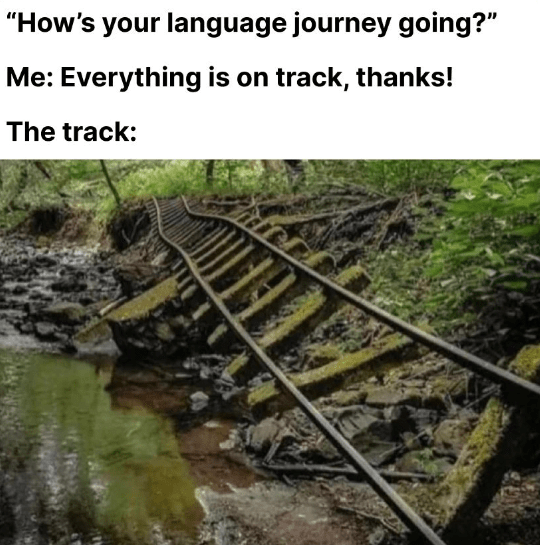 "How's your language journey going?" Me: Everything is on track, thanks! The track: