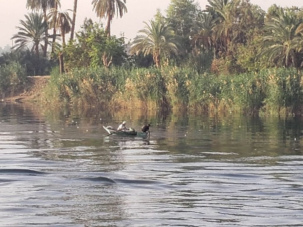Local fishermen on the Nile is a common scene on a Nile cruise itinreay