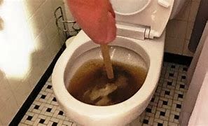 Image result for shitty toilet